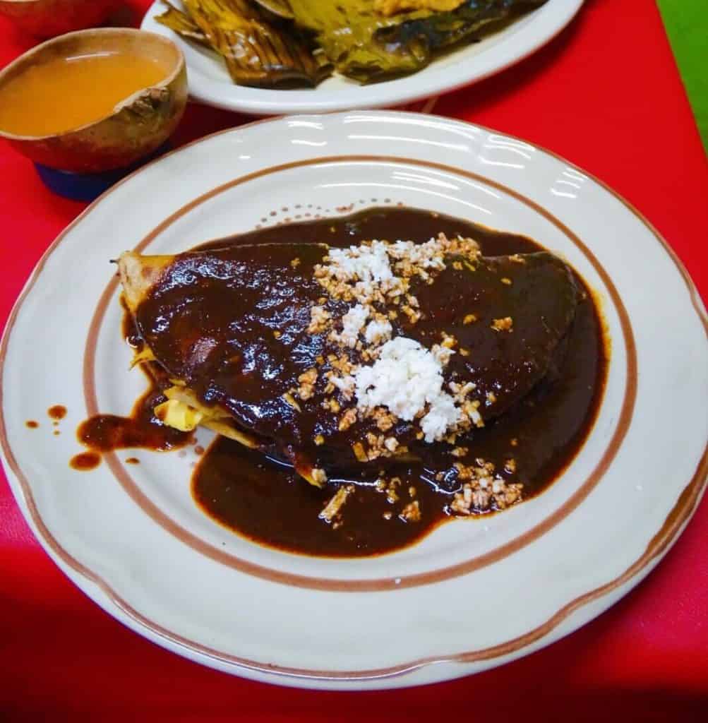 Mole enchilada best Mexican food to try