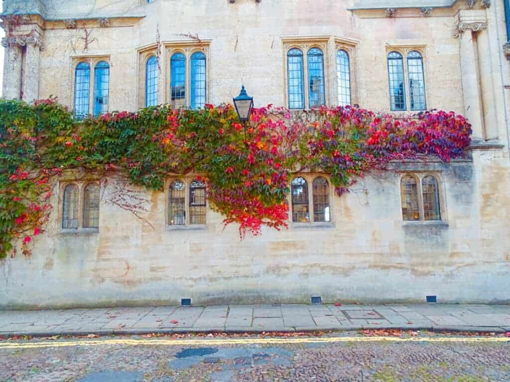 Red leaves Merton Street Oxford