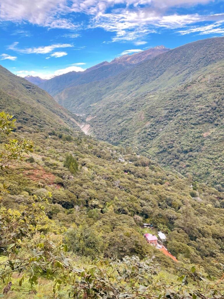 Green scenery on day 4