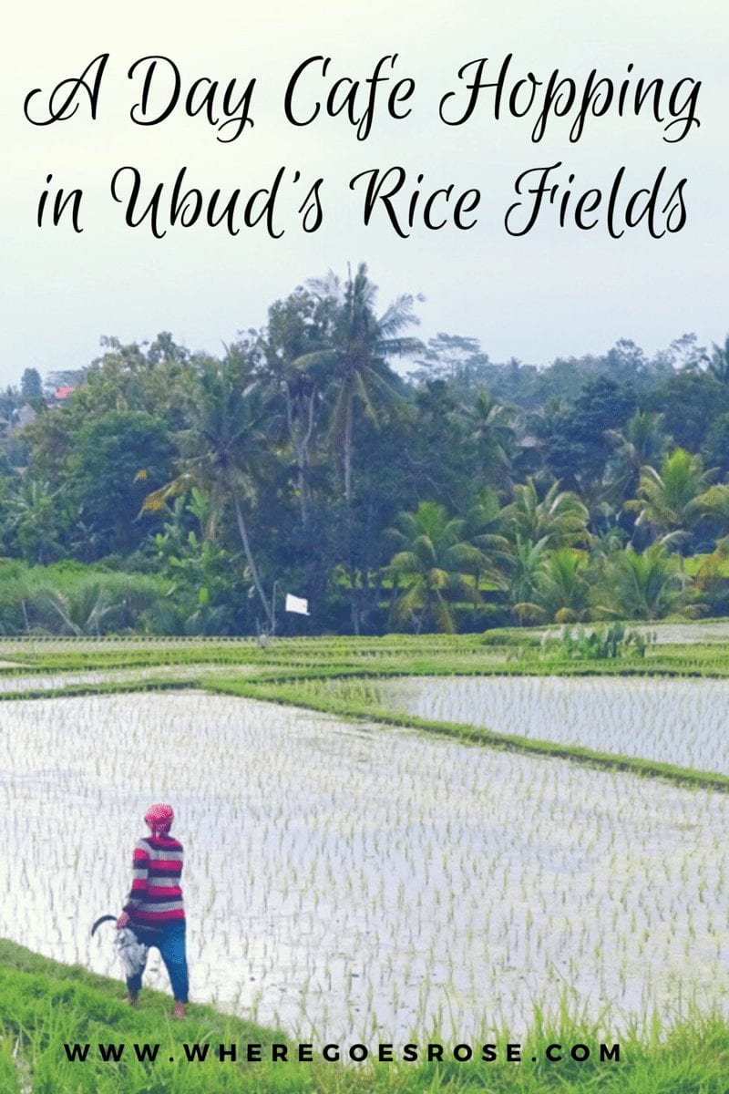 Cafes in Ubud rice fields 