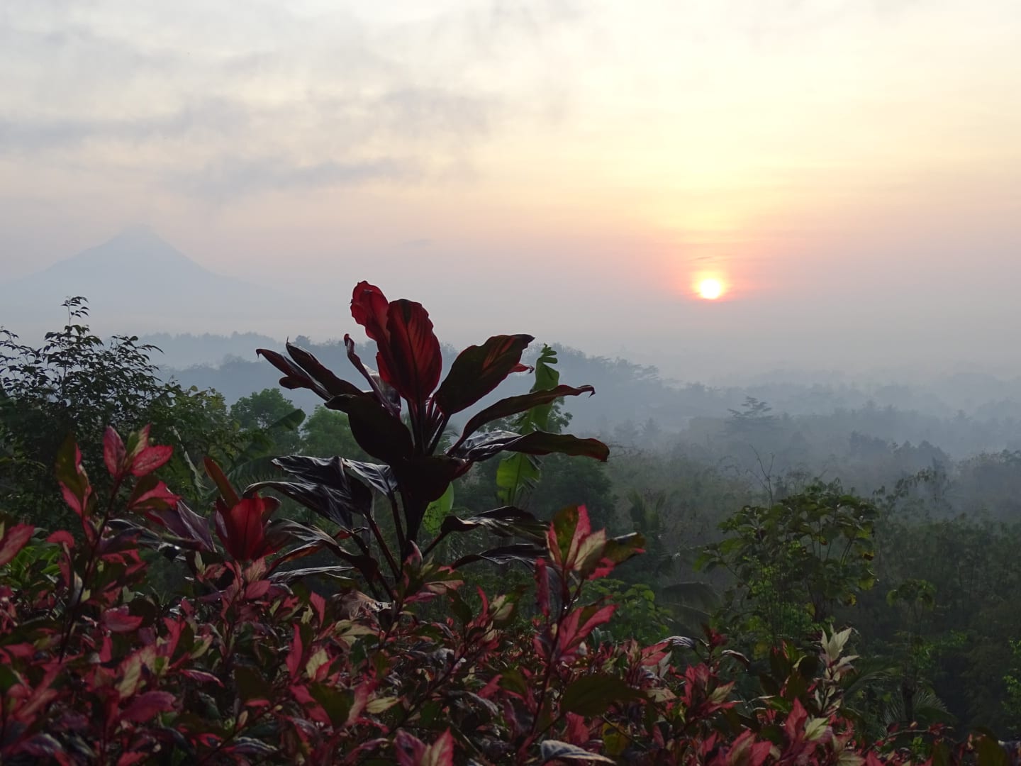 Early sunrise at Borobudur 
