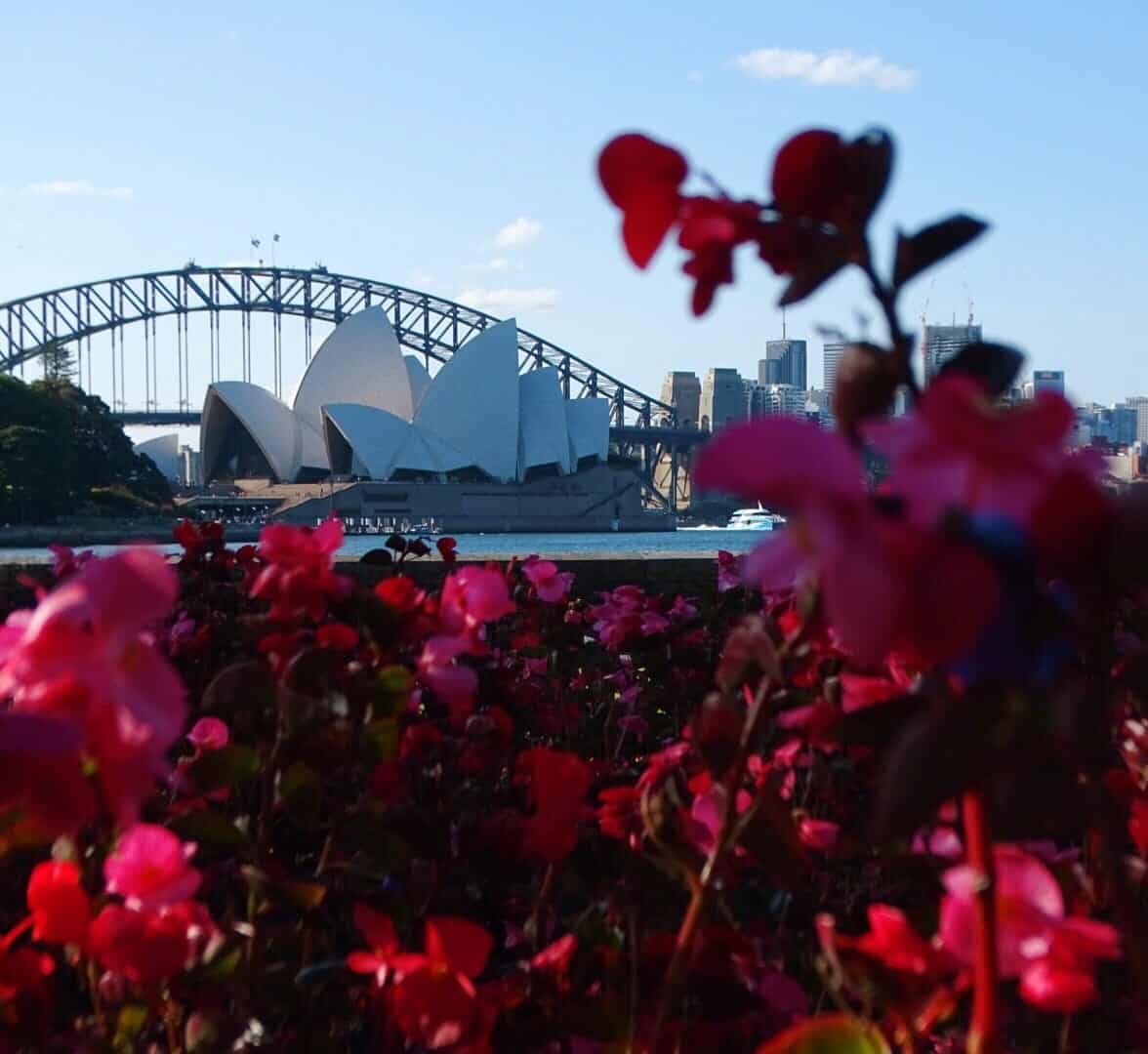 101 Free Things To Do in Sydney