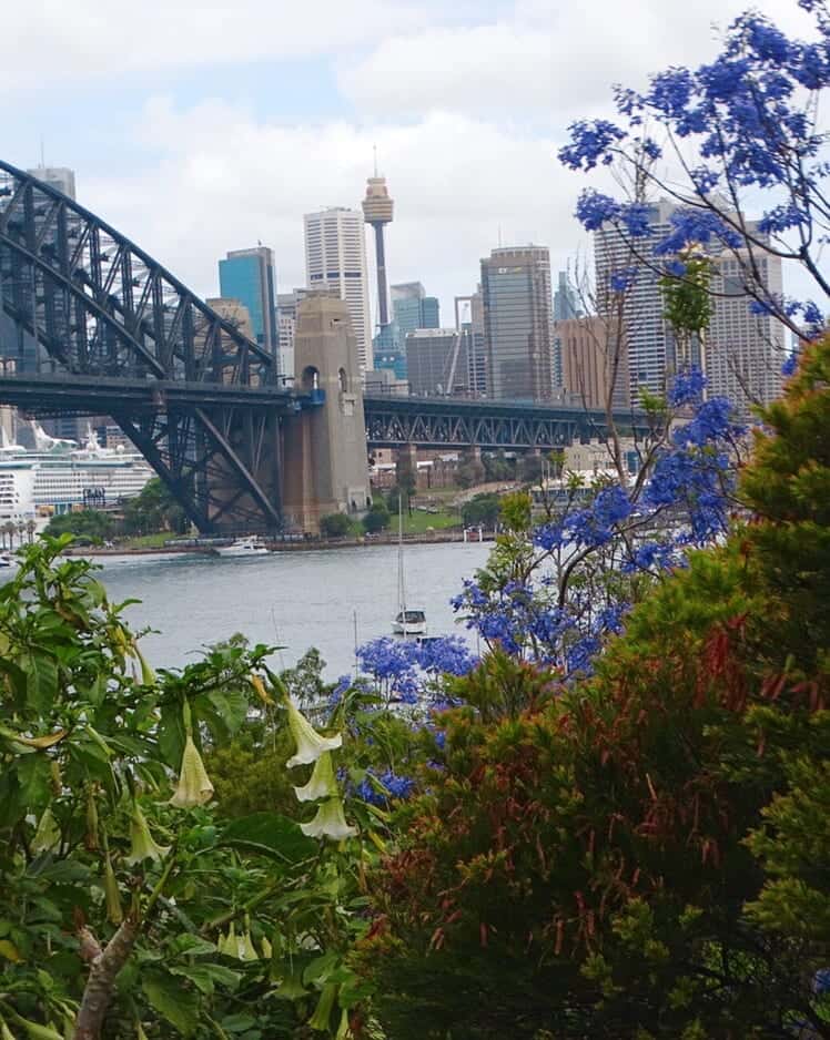 Free things to do Sydney view from Wendy Whiteley’s Secret Garden