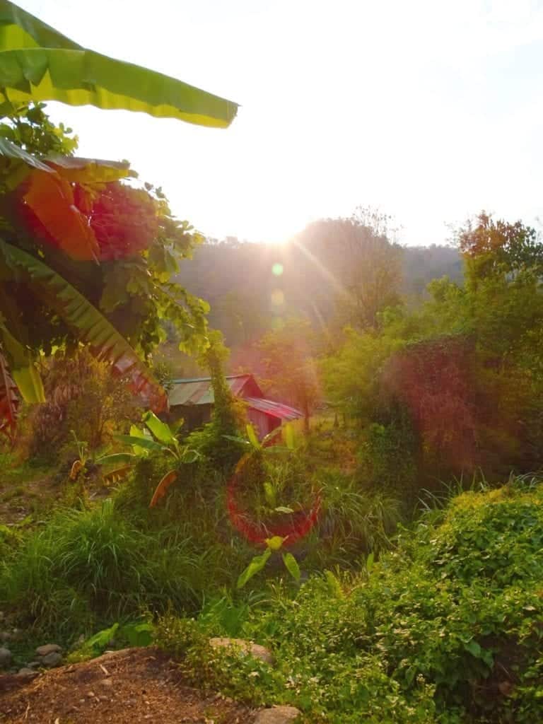 Northern Thai countryside local homestay