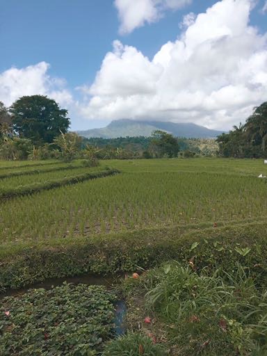 bali countryside