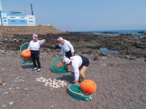 jeju island without a car