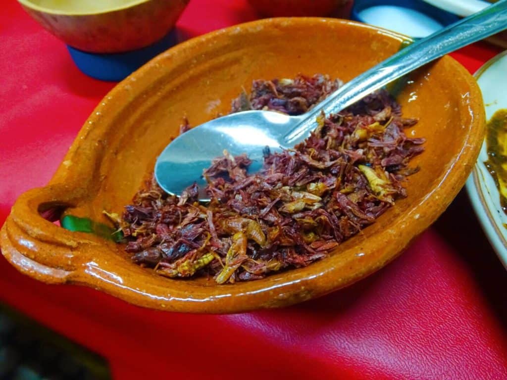 Plate of grasshoppers served in a ceramic bowl in Mexico City