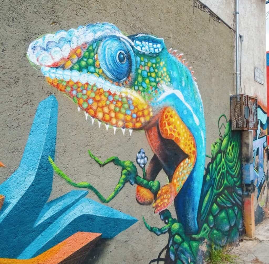 Chameleon street art Oaxaca
