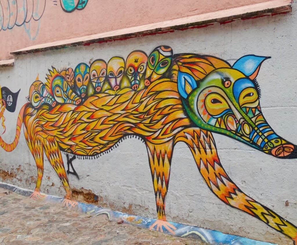 Possum street art Oaxaca