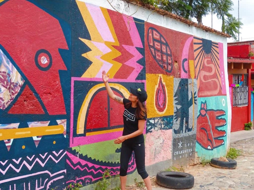 Colourful street art on Jose Lopez Alavez Oaxaca