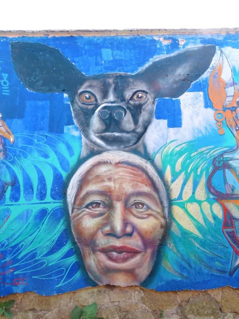 Street art showing Maria Sabina Oaxaca Mexico