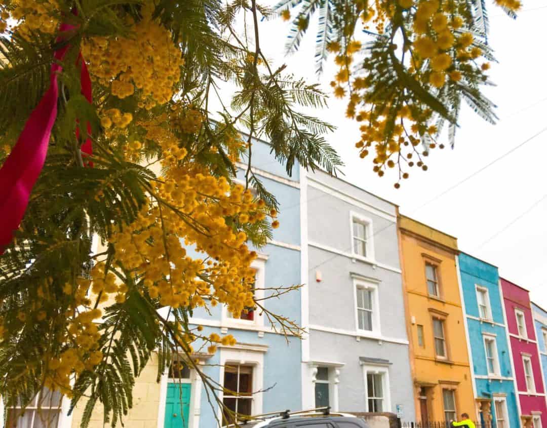 Where to Find the Colourful Houses of Clifton, Bristol Where Goes Rose?
