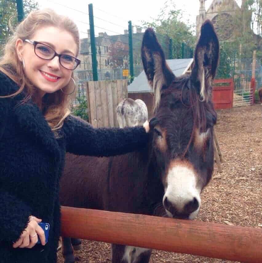 Donkey at Spitalfields City Farm Sunday in East London