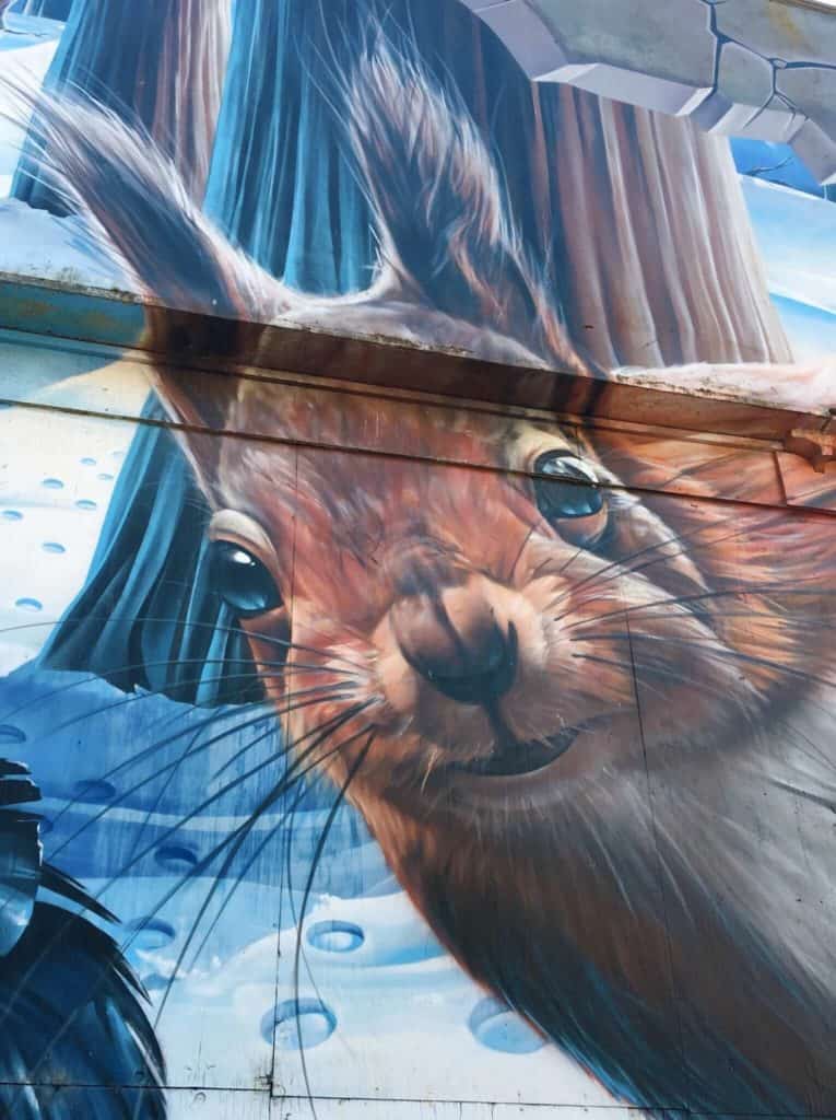 Squirrel street art Glasgow 