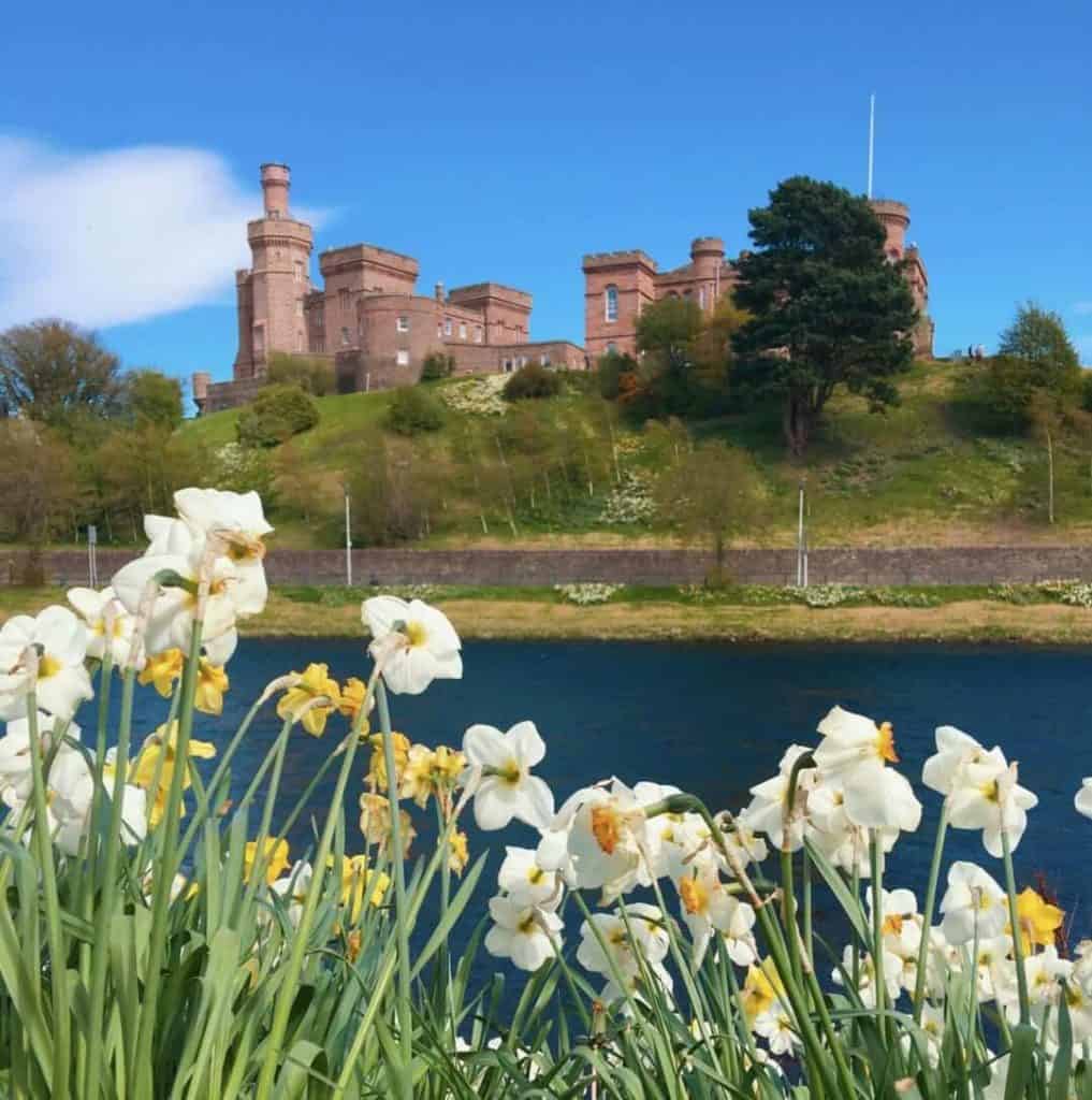 Daffodils and Inverness Castle
