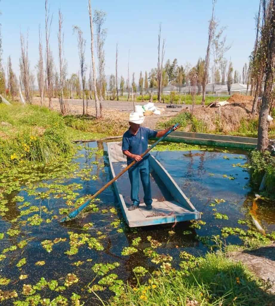 Man on boat Floating Gardens of Xochimilco