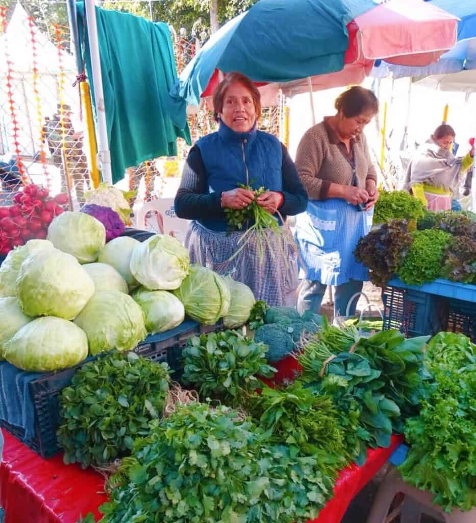 Lady selling herbs San Gregorio Xochimilco 