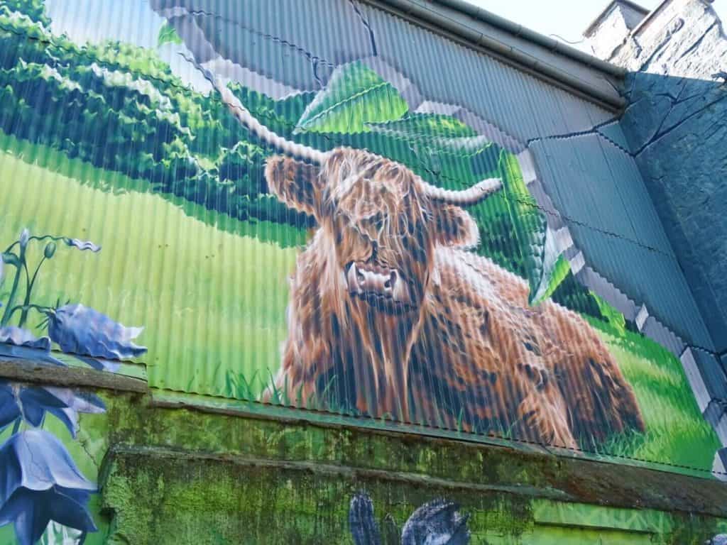 Highland cow street art Glasgow 
