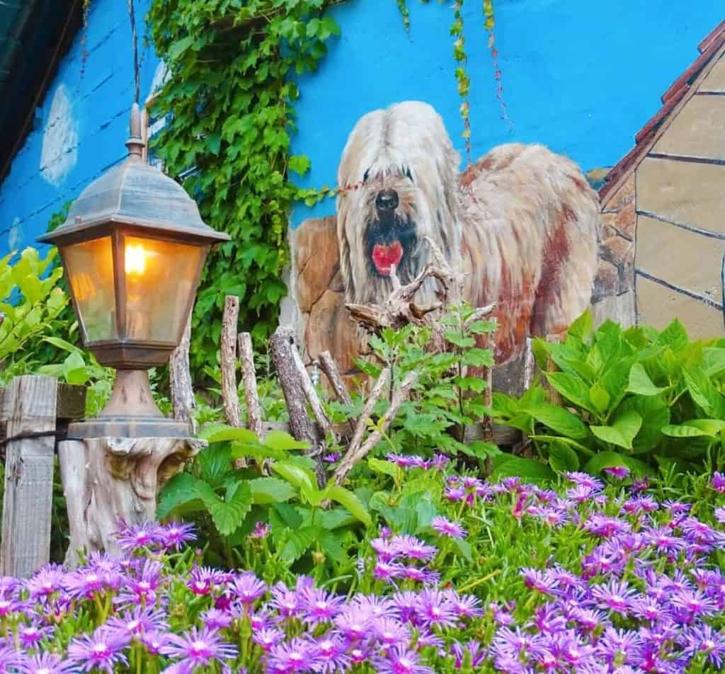 Dog street art Jaman Mural Village Jeonju