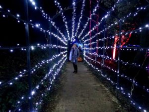 Blenheim Lights Trail