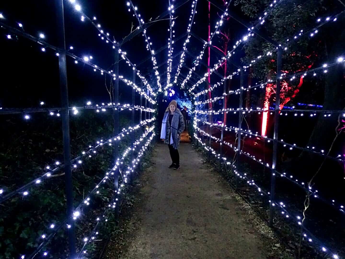 The Christmas at Blenheim Palace Lights Trail Where Goes Rose?