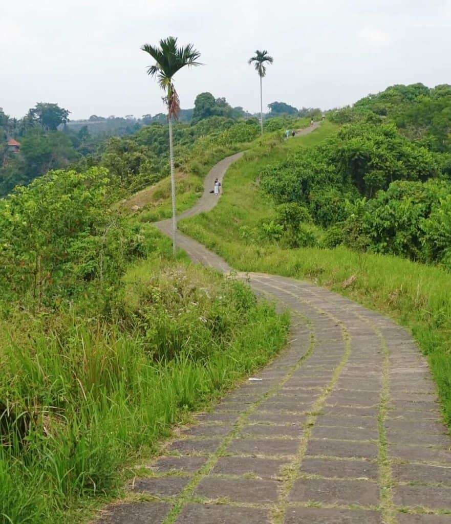 Campuhan Ridge Walk Ubud