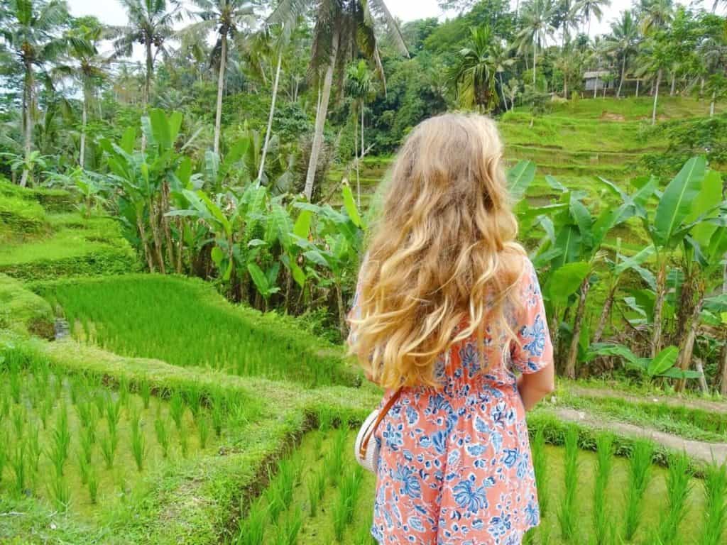 Tegallalang Rice Terraces Ubud what to do
