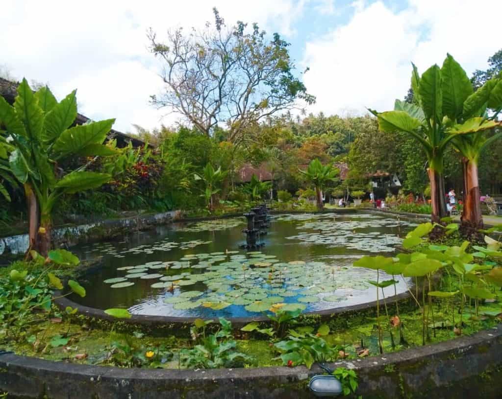 Calm lily ponds Tirta Gangga Temple Ubud