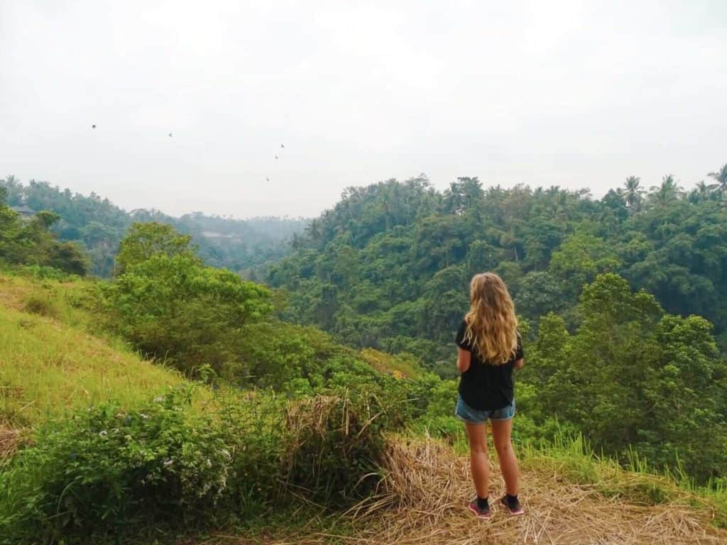 Views of forest Campuhan Ridge Walk 