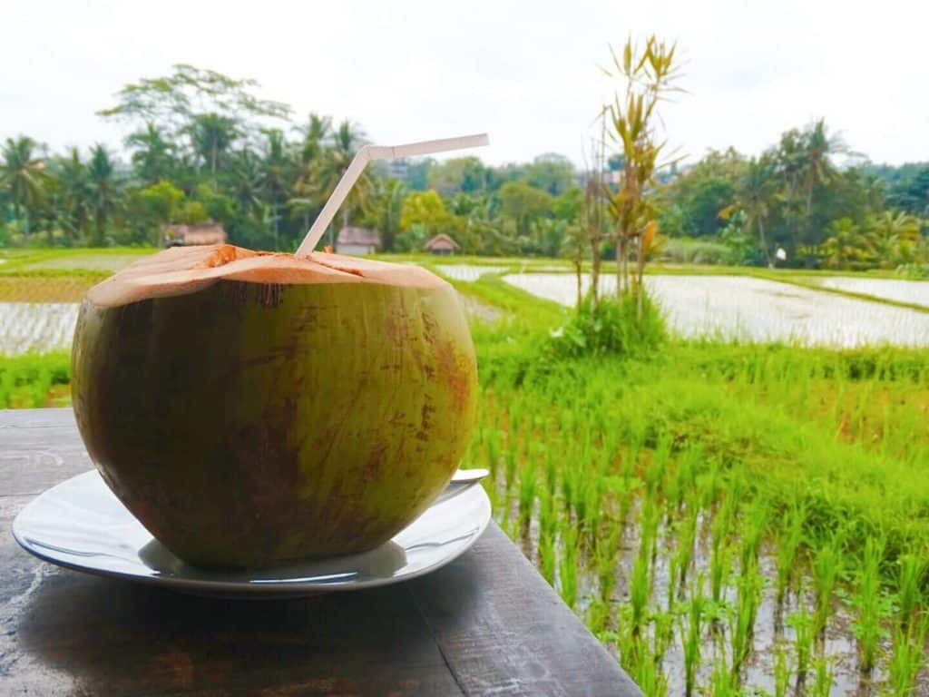 Coconut drink Cafe Pomegranate Ubud rice fields