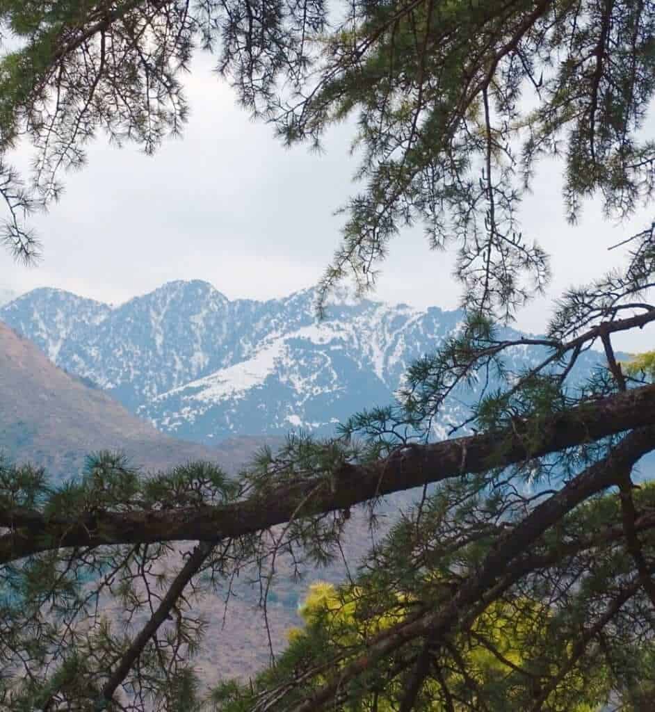 Snowy mountains Dharamsala guide