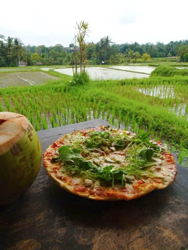 Pizza in rice fields