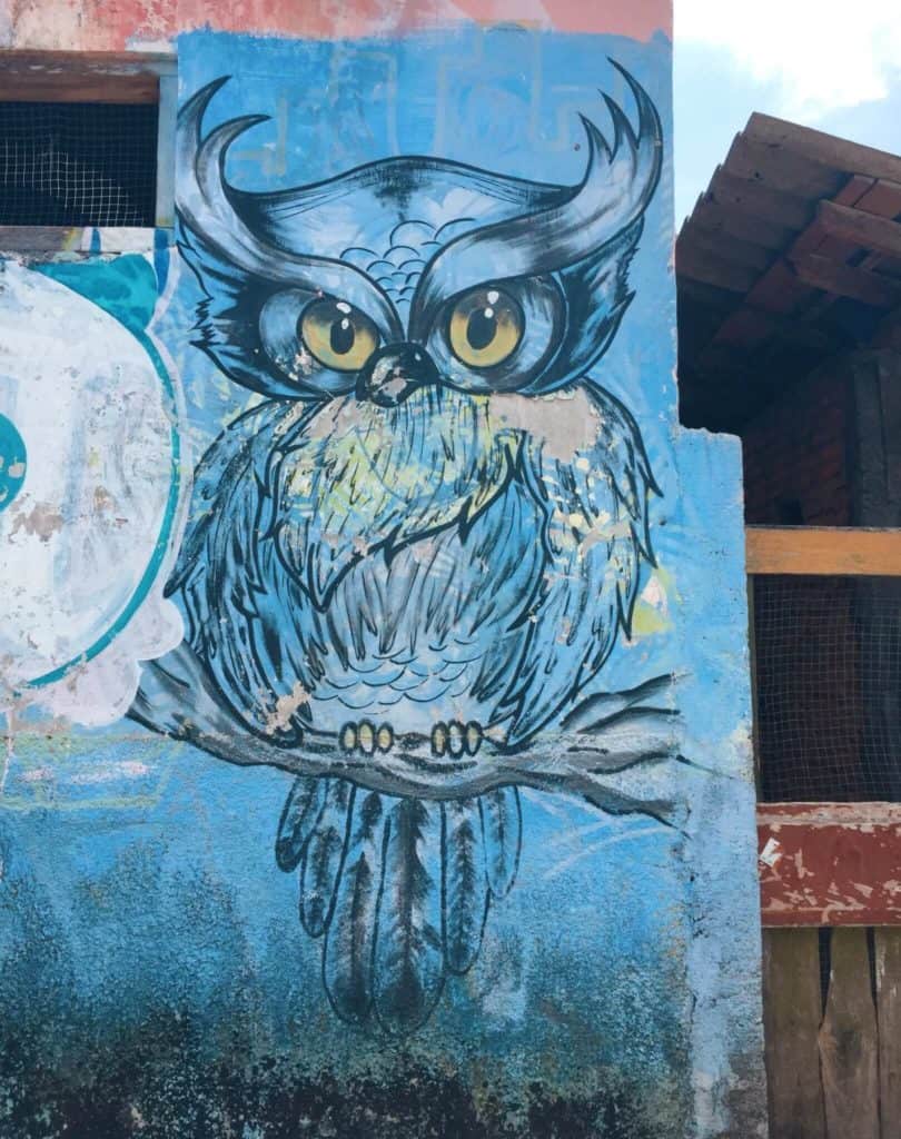 Owl street art Yogyakarta itinerary
