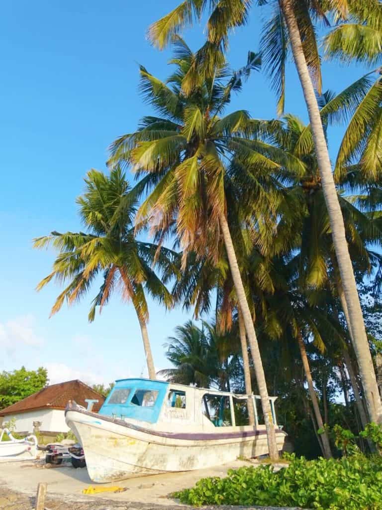 Boat and palm trees Nusa Penida itinerary 
