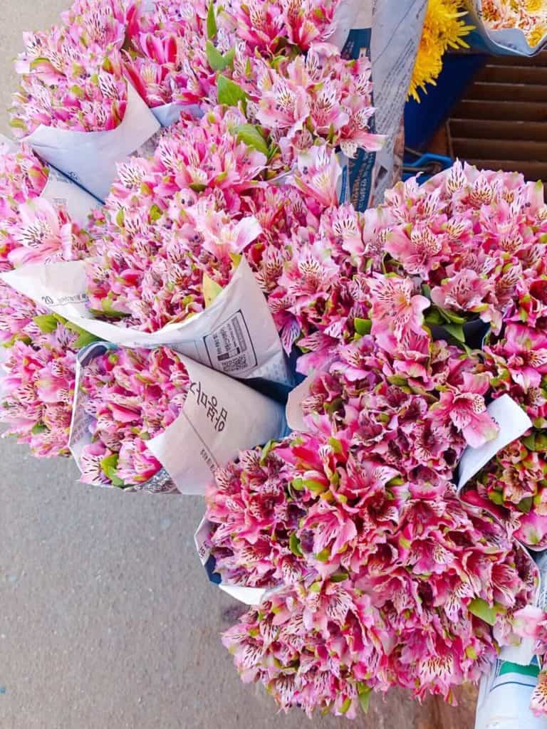 Flowers at Doi Inthanon National Park market