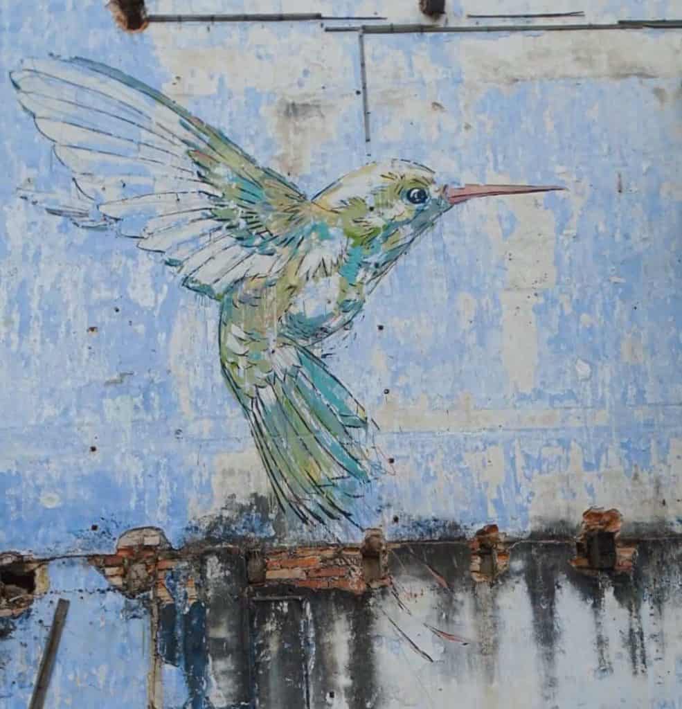 Hummingbird street art