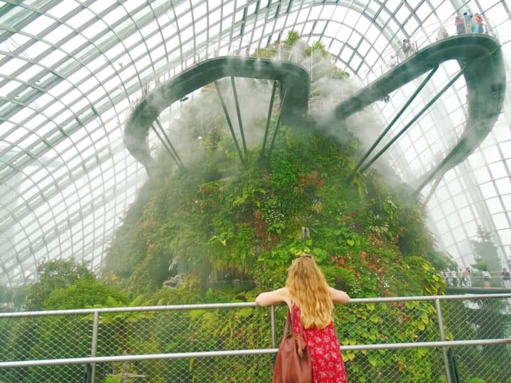 Cloud Forest 