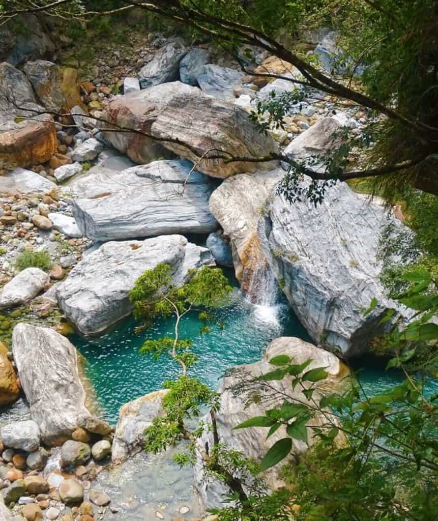 Forest clearing Taroko National Park