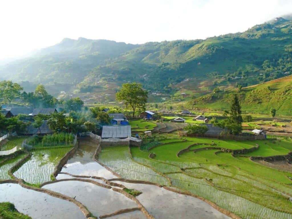 Rice terraces Sapa Vietnam