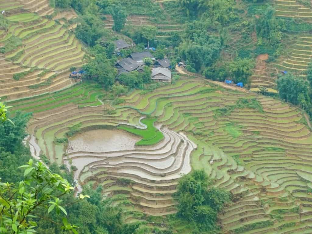 Hill terraces Sapa itinerary