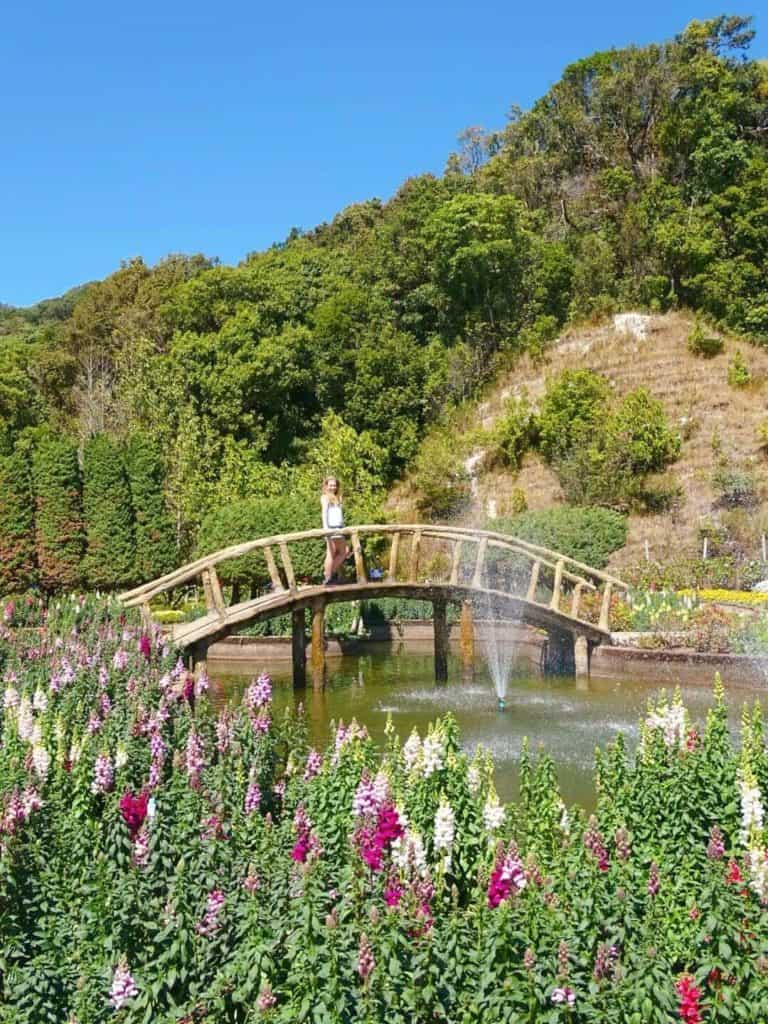 Flower garden Doi Inthanon National Park Chiang Mai