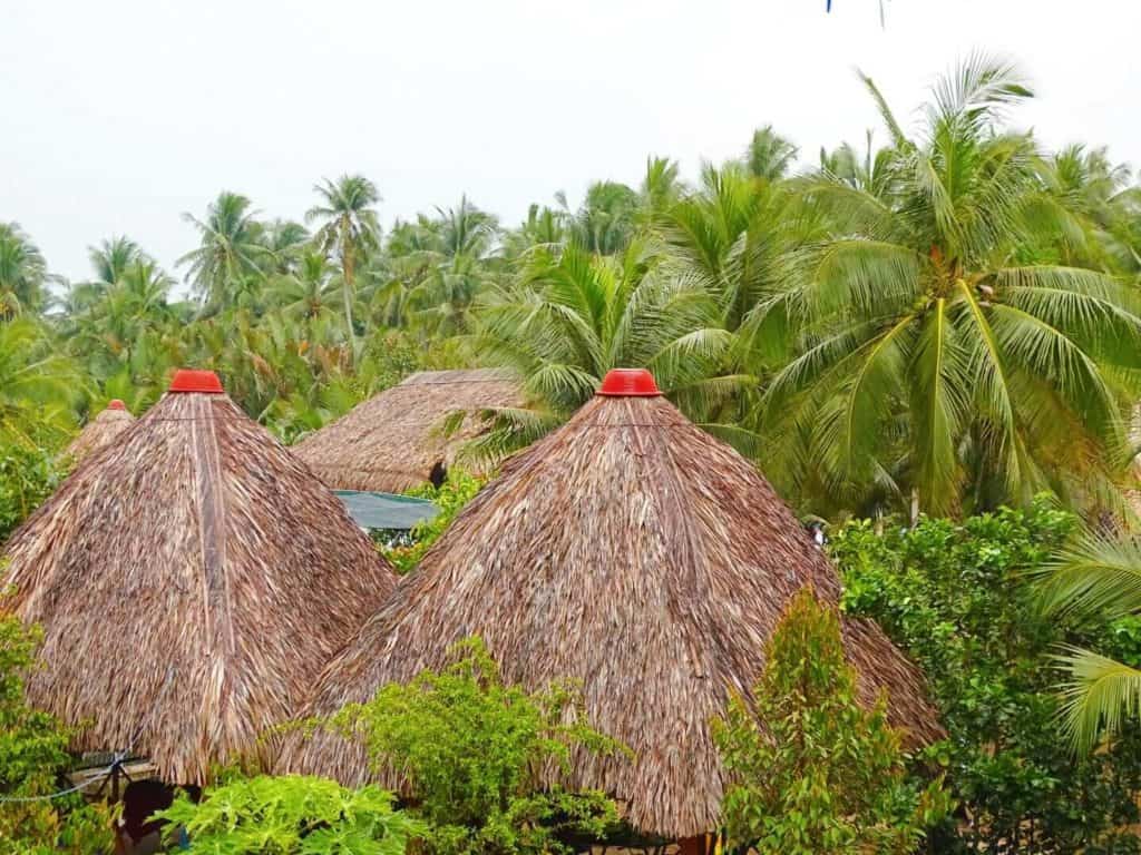 mekong delta day trip saigon