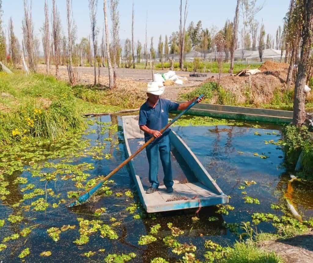 How to visit Xochimilco