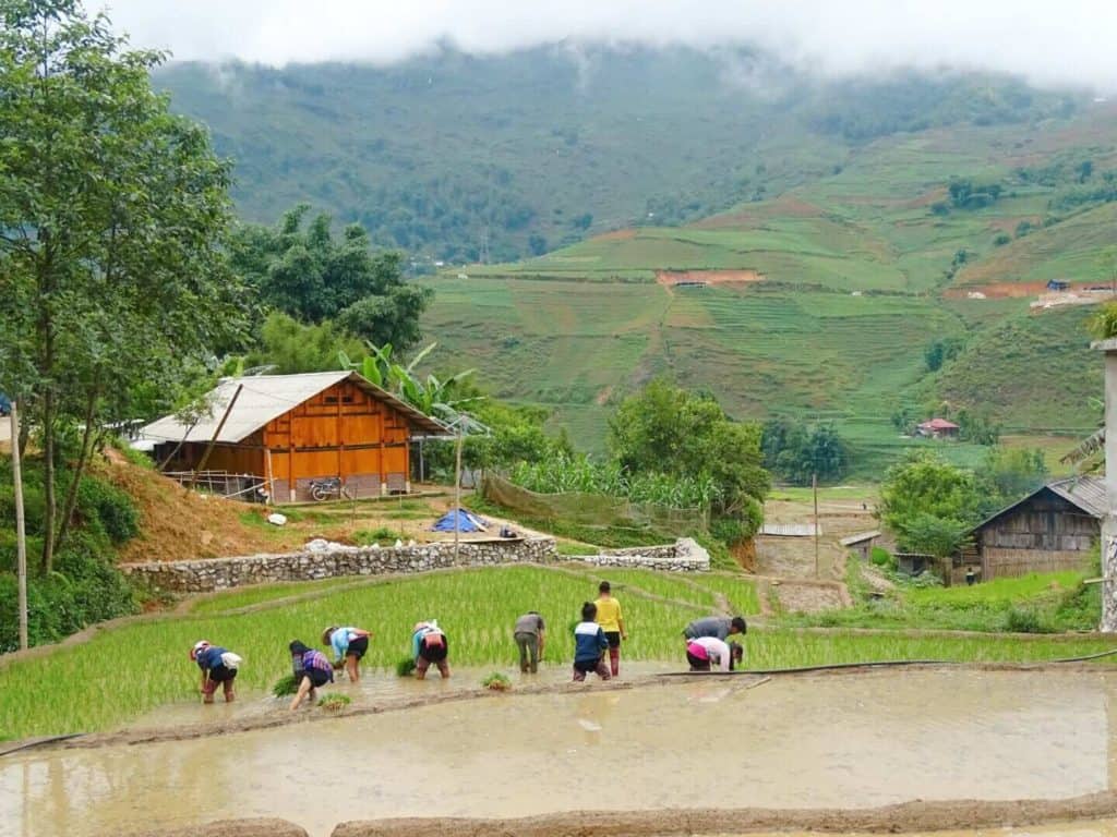 Farmers Sapa itinerary