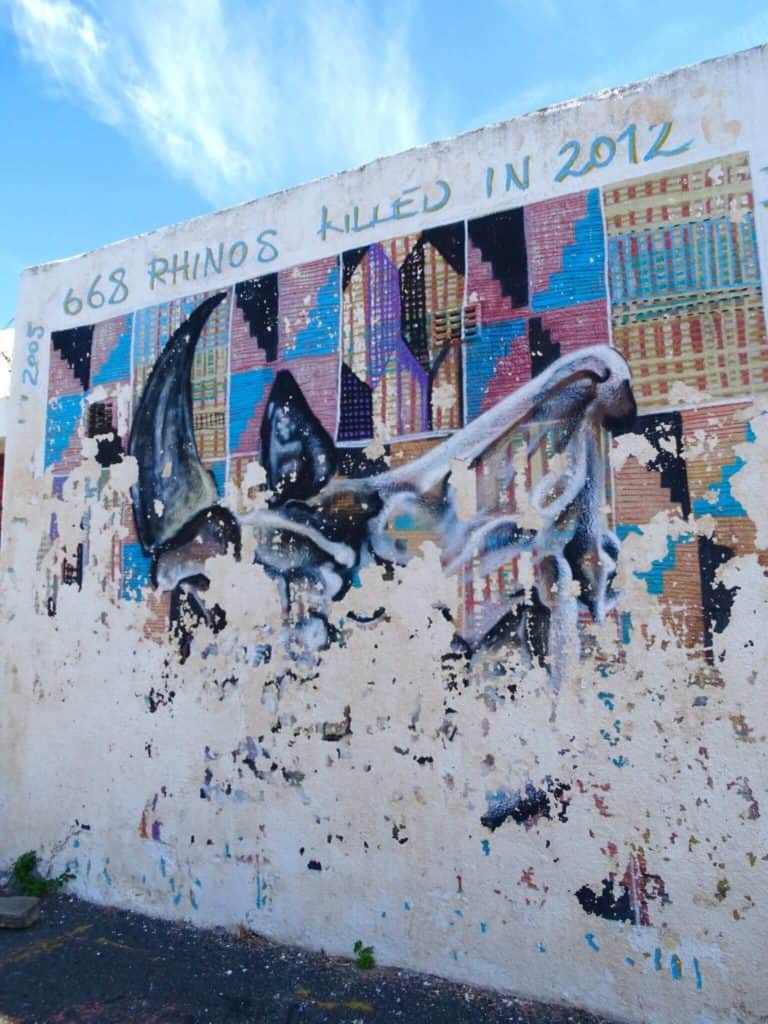 Rhino street art in Cape Town