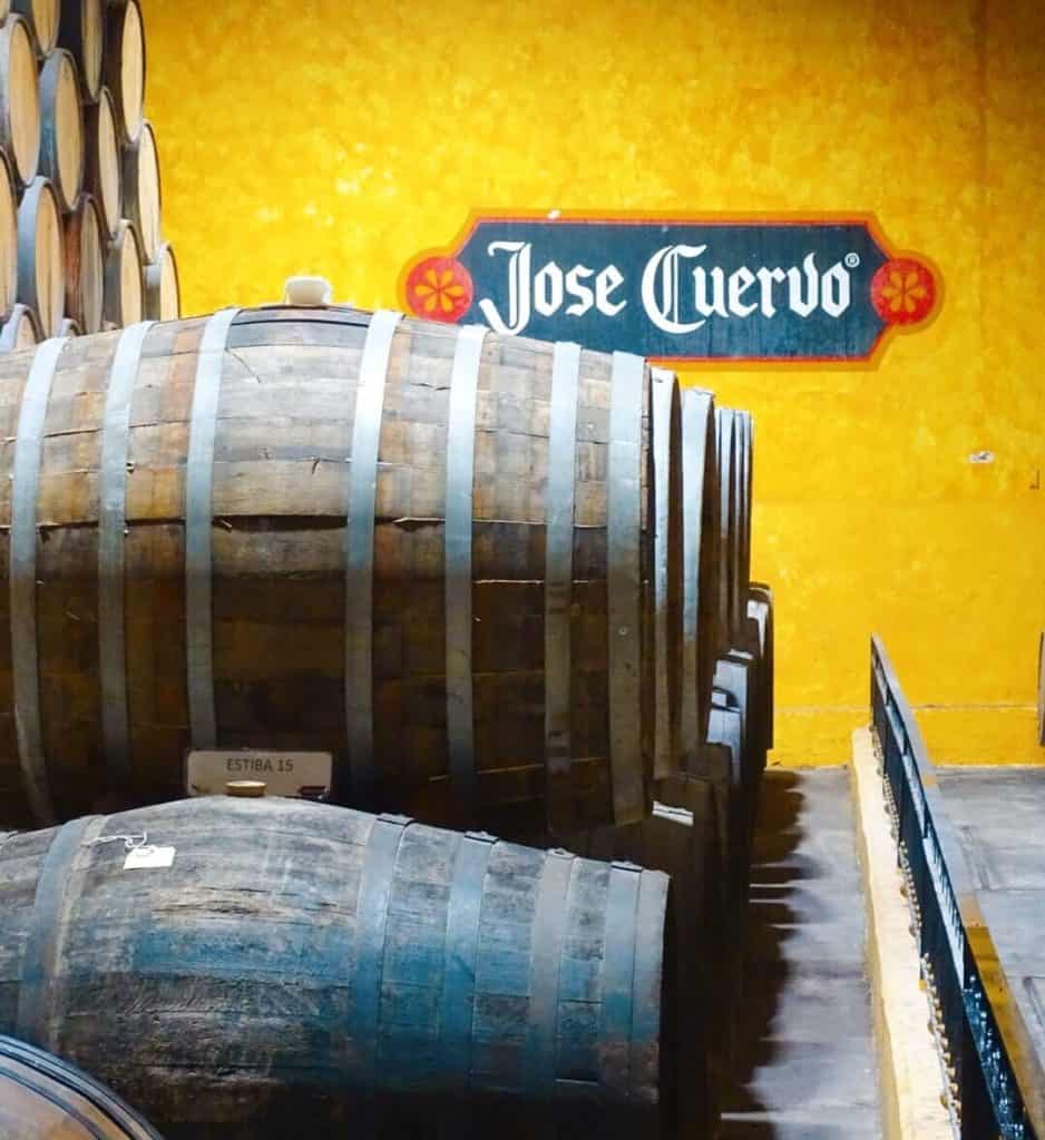 Barrels of tequila Jose Cuervo factory Guadalajara itinerary
