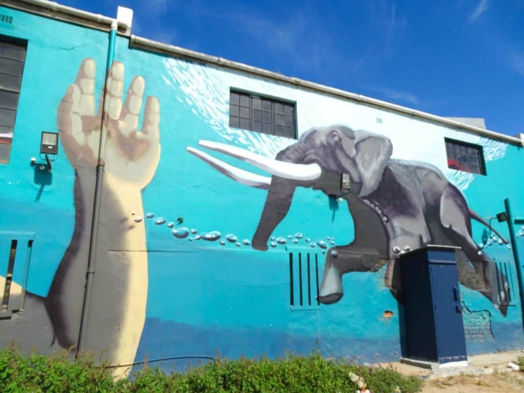 Elephant street art Woodstock Cape Town