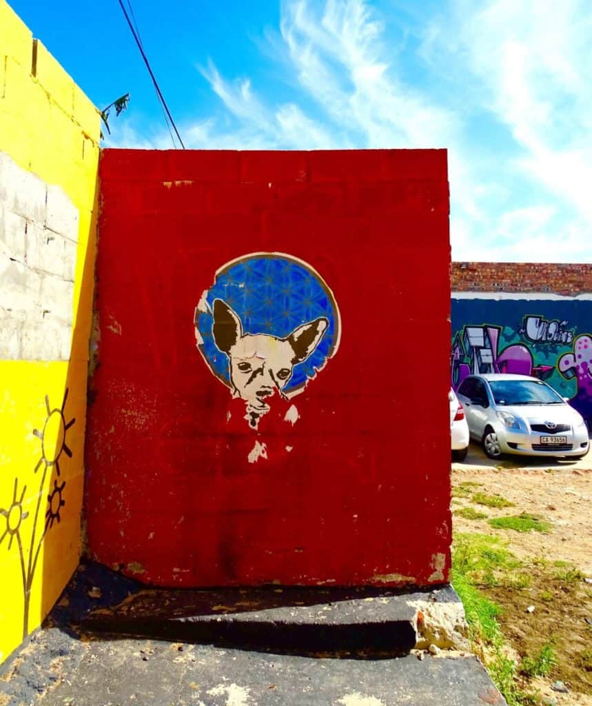 Chihuahua street art Woodstock Cape Town