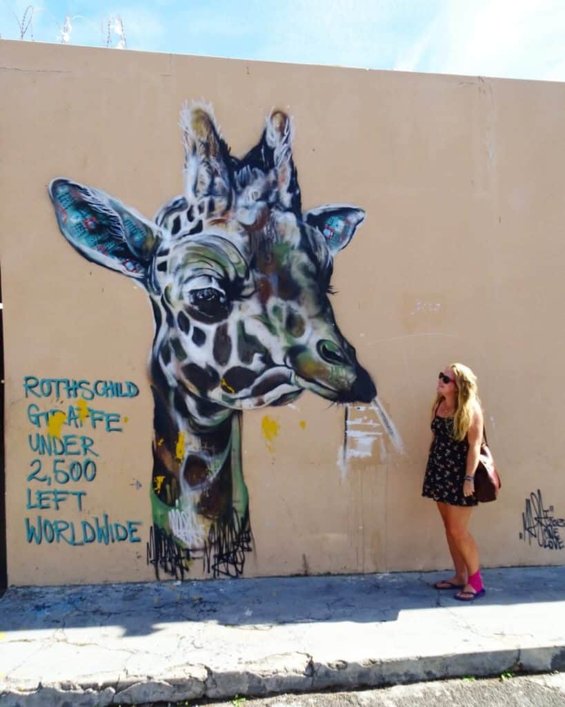 Giraffe street art Woodstock Cape Town