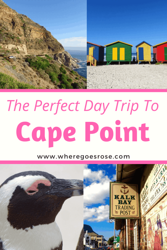 Cape point day trip